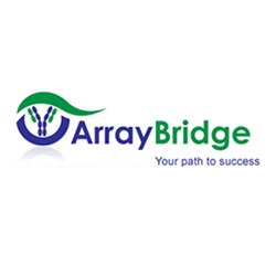 Array Bridge 