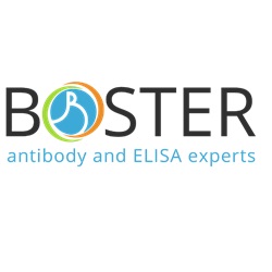 Boster Bio