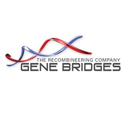 Gene Bridges